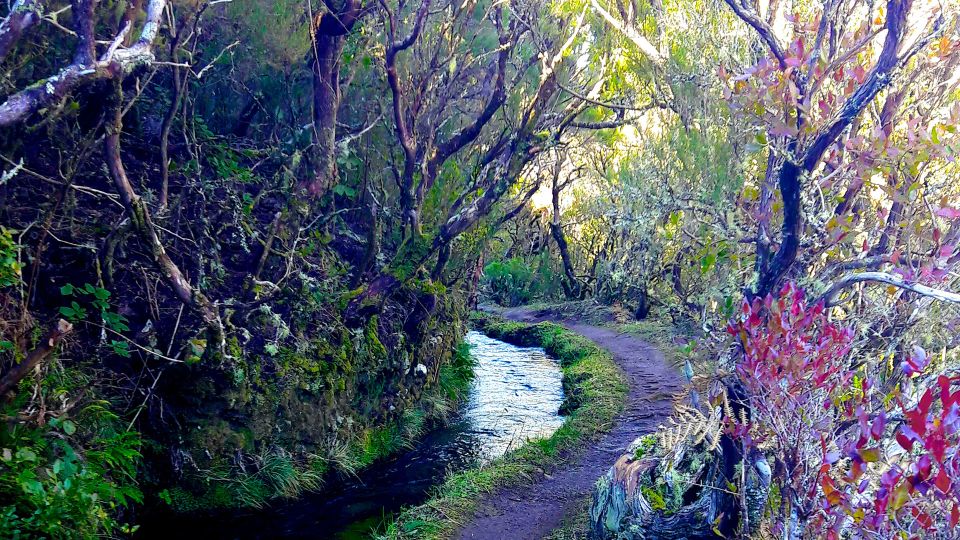 From Funchal: Madeira Lakes Levada Guided Hike - Key Highlights at a Glance