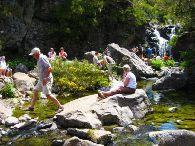 From Funchal: Madeira Lakes Levada Guided Hike - From Funchal Pickup to the Levada do Alecrim Start