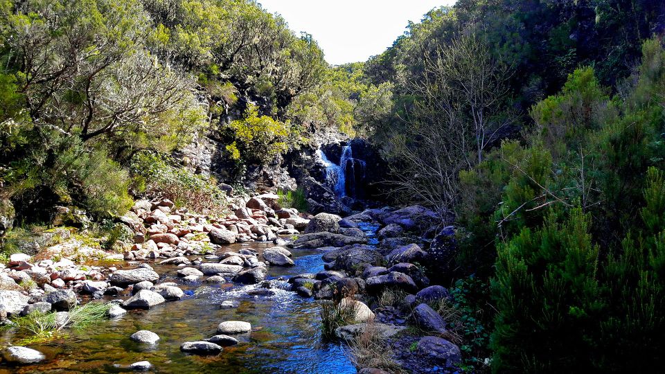 From Funchal: Madeira Lakes Levada Guided Hike - The Climb for Panoramic Views of Forest and Lakes