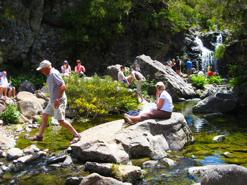 From Funchal: Madeira Lakes Levada Guided Hike - From Funchal Pickup to the Levada do Alecrim Start