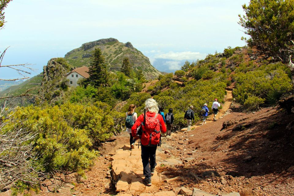 From Funchal: Madeira Peaks Mountain Walk - Key things to know before you go