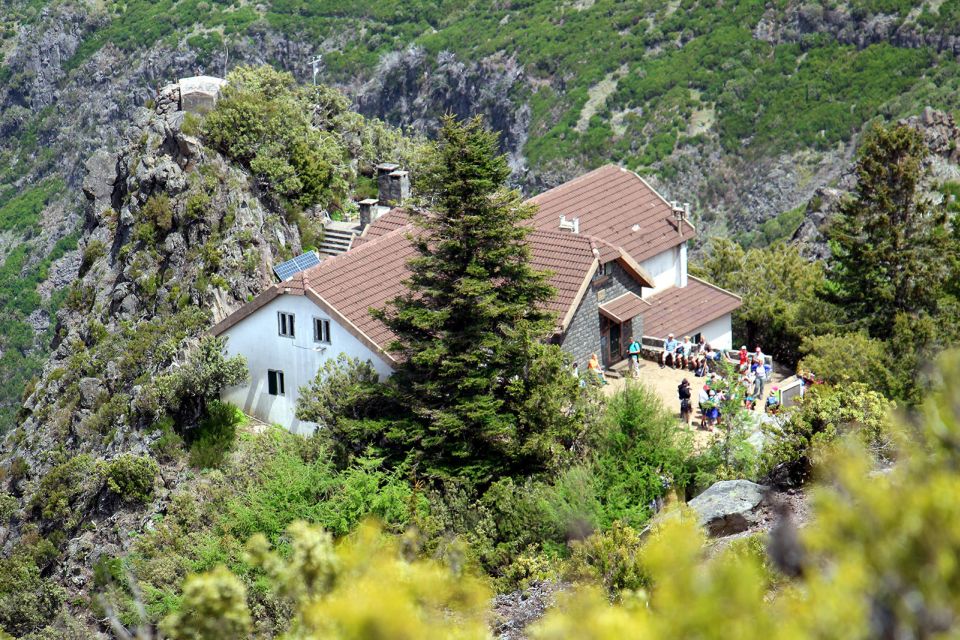 From Funchal: Madeira Peaks Mountain Walk - What it costs and what that $50 gets you