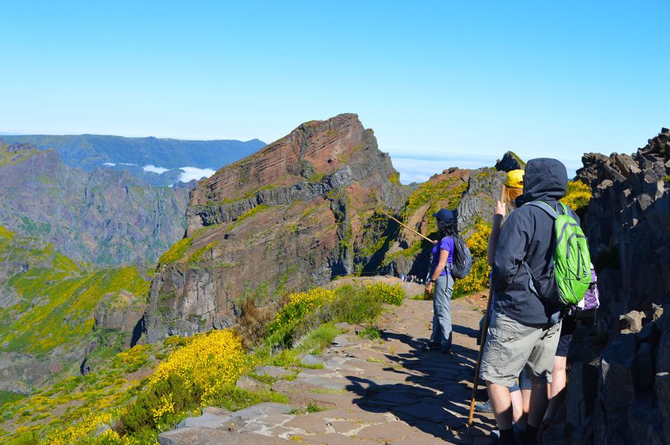 From Funchal: Madeira Peaks Mountain Walk - The van ride from Funchal to the high country feels like the warm-up