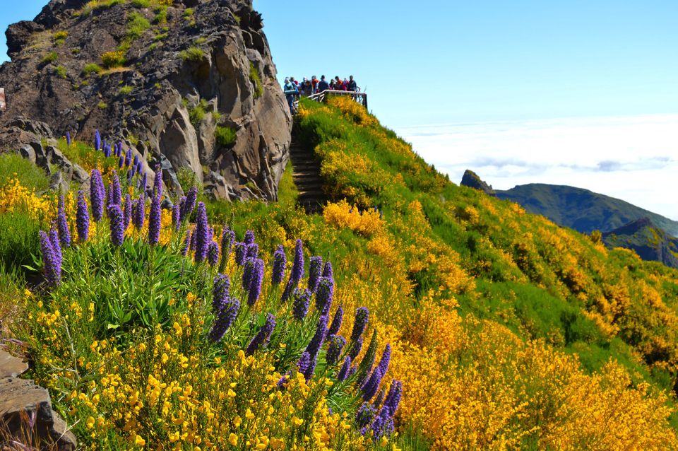 From Funchal: Madeira Peaks Mountain Walk - Timing and pacing: why the guide’s stops make the hike feel fair