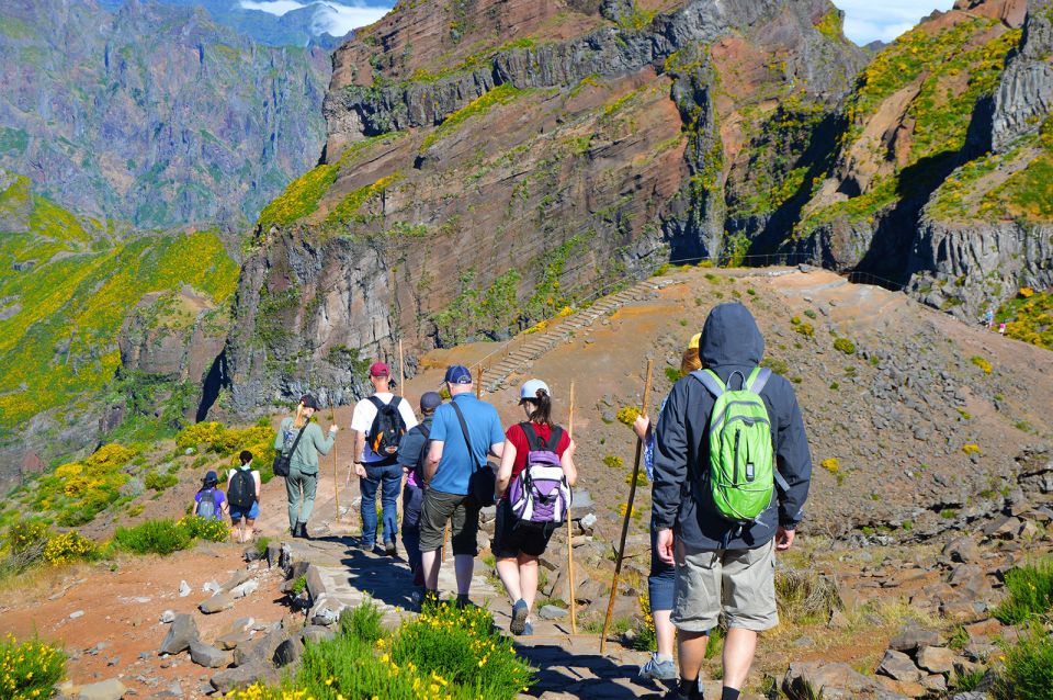 From Funchal: Madeira Peaks Mountain Walk - Lunch isn’t provided, so bring fuel that matches mountain walking
