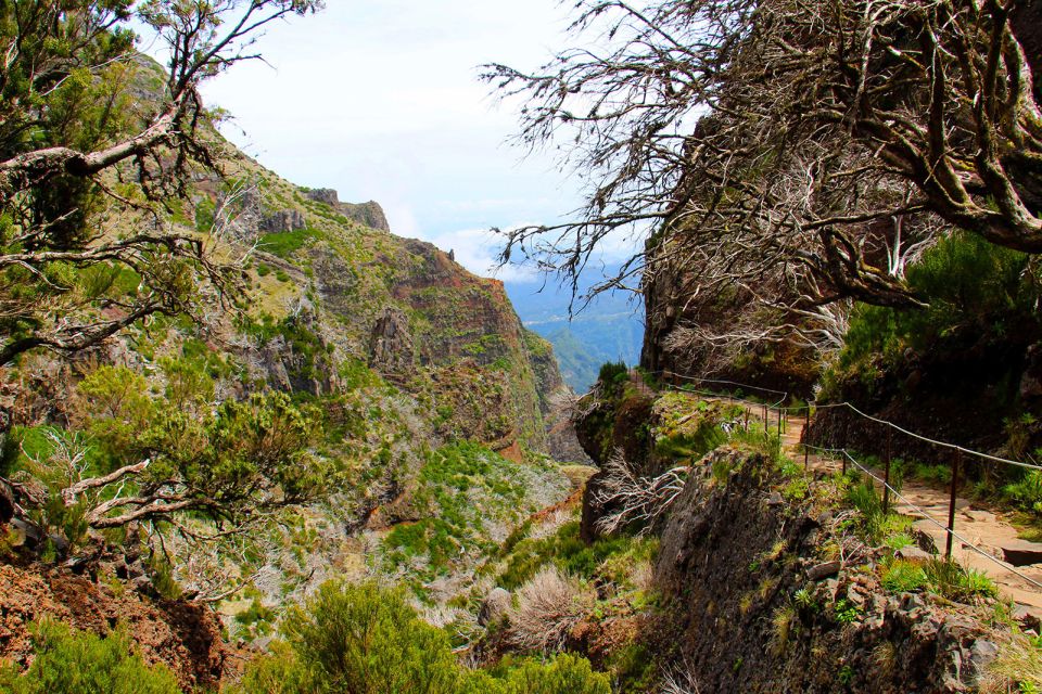 From Funchal: Madeira Peaks Mountain Walk - Weather can change everything: how the route adapts