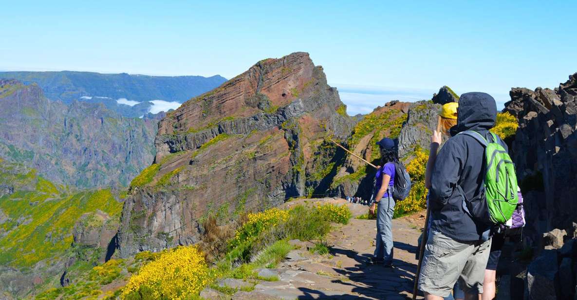 From Funchal: Madeira Peaks Mountain Walk - The core hike: stepping through Madeira’s three highest peaks