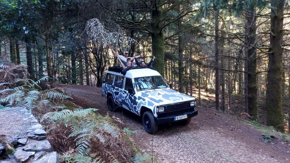 From Funchal: Open Roof Jeep Tour with Madeira Wine Tasting - Funchal pickup and a 7-person maximum that changes the vibe