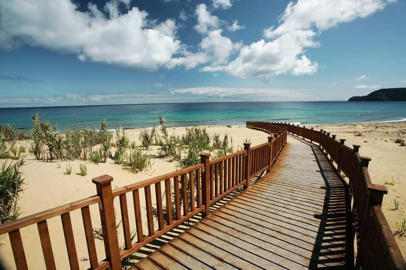 From Funchal: Porto Santo 1-Day Cruise and Tour - Price and Logistics: Is $239 Good Value for a One-Day Porto Santo Trip?