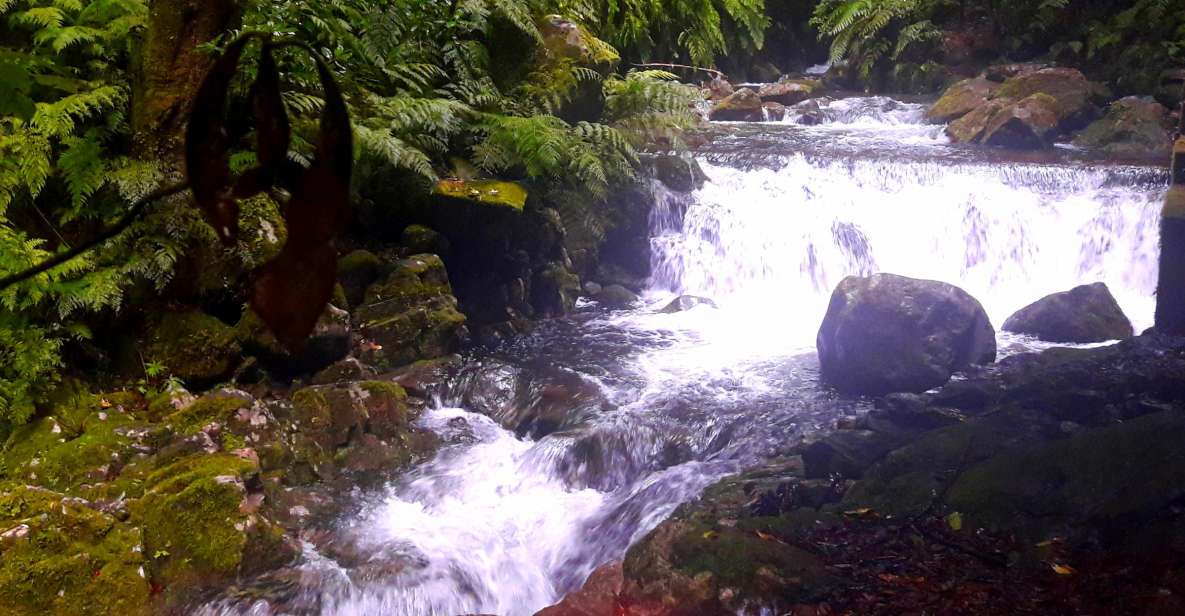 From Funchal: São Jorge Valleys Levada Walk - Key highlights to watch for