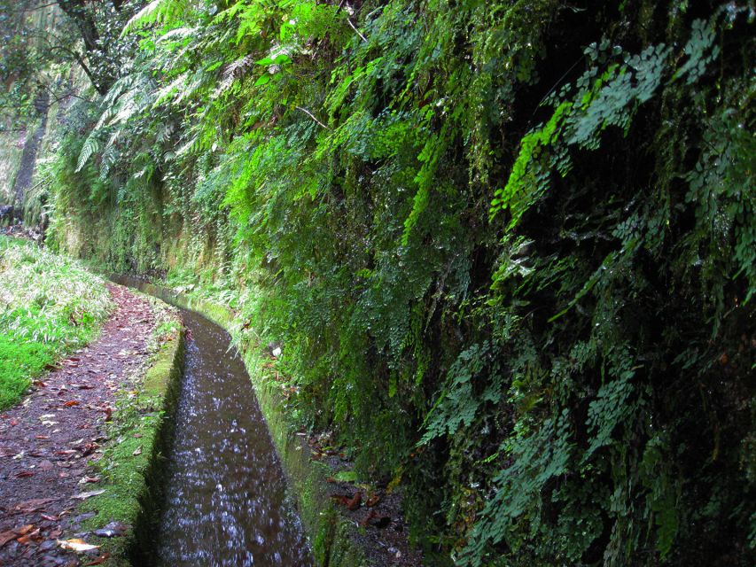From Funchal: São Jorge Valleys Levada Walk - Who this is best for (and who should skip it)