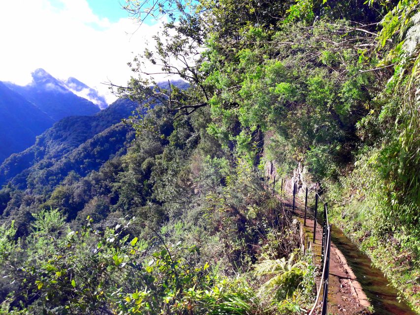 From Funchal: São Jorge Valleys Levada Walk - Levada do Rei (PR18) and the waterfall sections you’ll remember