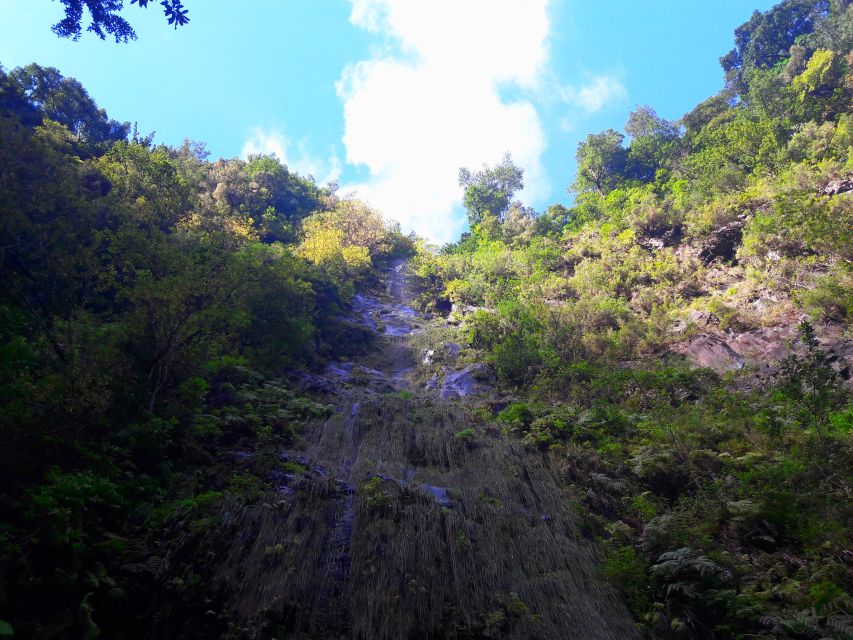 From Funchal: São Jorge Valleys Levada Walk - Ribero Bonito stop: a breather that keeps the walk enjoyable