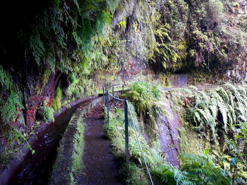 From Funchal: São Jorge Valleys Levada Walk - Getting there from Funchal: pickup that saves your day
