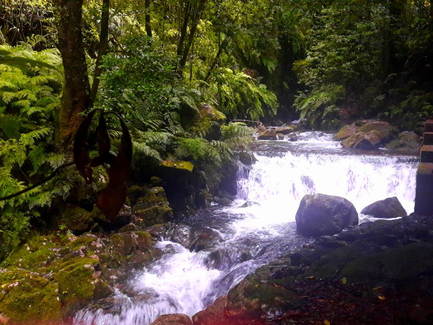 From Funchal: São Jorge Valleys Levada Walk - What to bring for a waterfall day that can get wet
