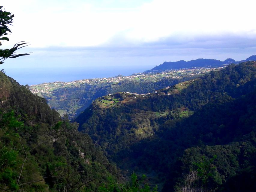 From Funchal: São Jorge Valleys Levada Walk - Price and value: is $50 for 8 hours worth it?
