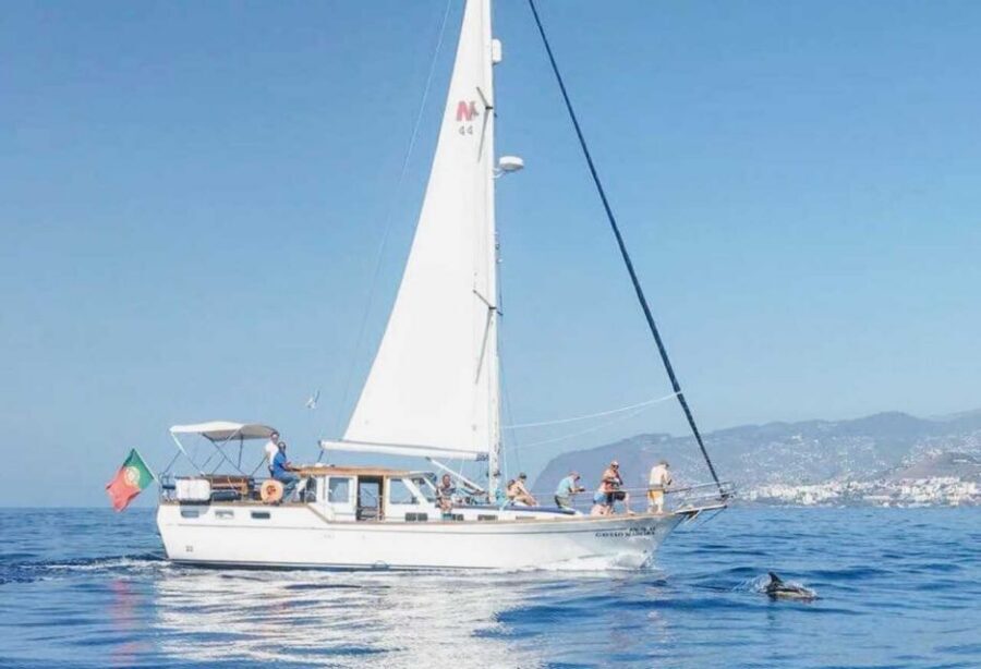 From Funchal: West Bays Sailing Tour with Lunch - Key things to know before you go