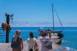 From Funchal: West Bays Sailing Tour with Lunch - Wildlife watch: dolphins, whales, and sea turtles (up to 3 miles out)
