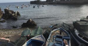 From Funchal: West Madeira and Laurel Forest Day Trip - Câmara de Lobos: fishing village color and terrace farming