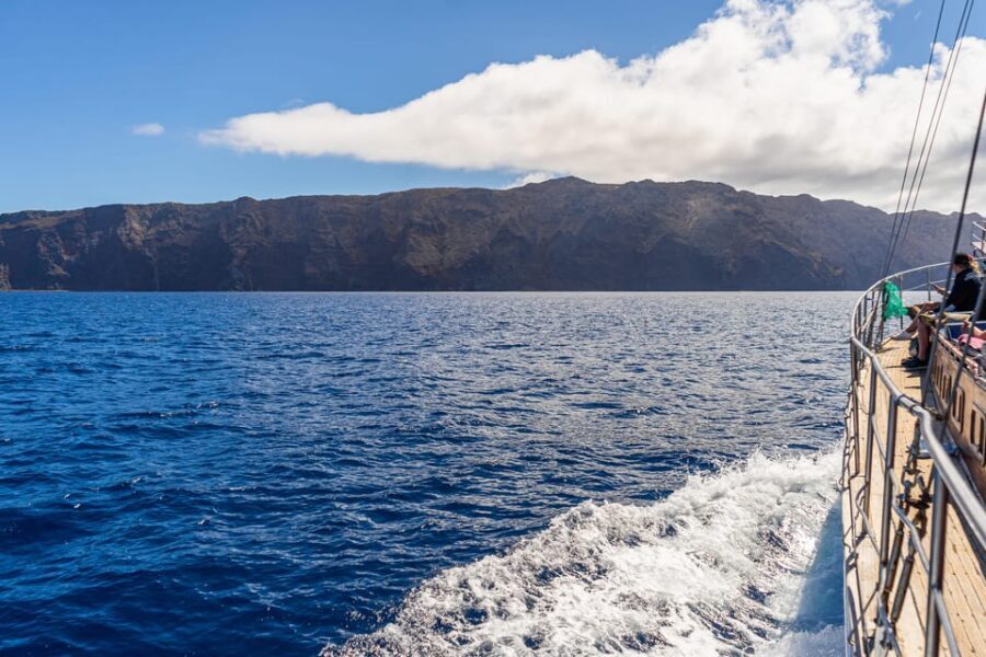 From Funchal: Wooden Boat Excursion to Desertas Island - Guided time on site: useful context, but don’t expect a long tour