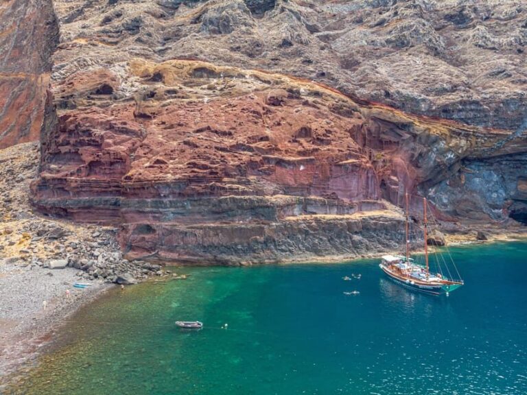 From Funchal: Wooden Boat Excursion to Desertas Island - On the water: marine life odds and the real seasickness checklist
