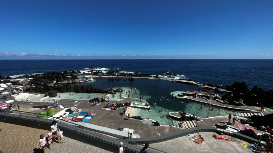 From Funchal:West Madeira Open-roof 4x4 Day Tour with Pickup - Fanal Forest (UNESCO Area): Misty Trees, Short Walk, and Wildlife Time