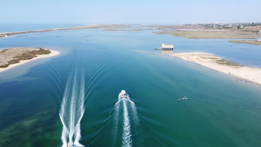 From Fuzeta: 2-Hour Southeast Ria Formosa Boat Trip - Birdwatching along the route: what to look for (and what to forgive)