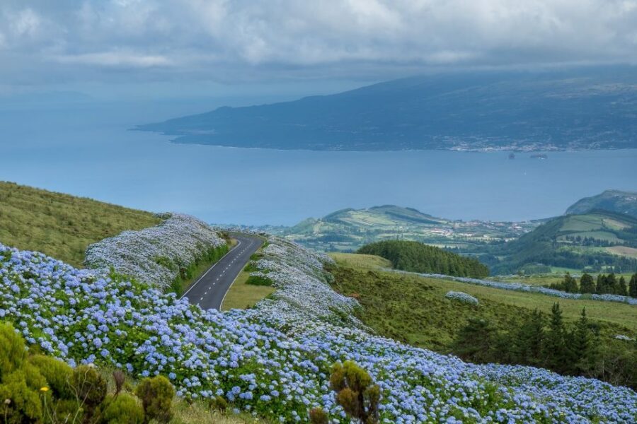 From Horta: Guided Faial Island Tour - Hotel Pickup in Horta: The Real Convenience Win