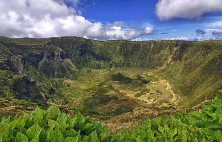 From Horta: Guided Faial Island Tour - Viewpoints Over the Blue Island: Quick Stops That Matter