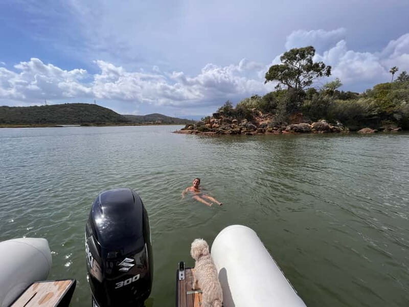 From Lagoa: Visit Silves Town by Boat with Hop Off & Hop On - Birdwatching on the Arade estuary: what you might spot