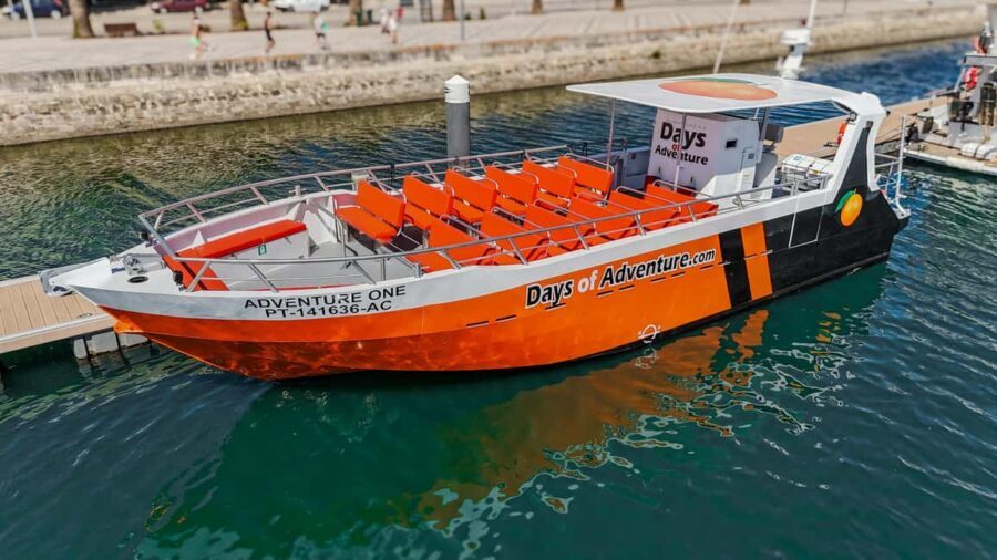 FROM LAGOS: BENAGIL AND DOLPHIN WATCHING - JETBOAT - Key Highlights That Make This Tour Worth Your Time