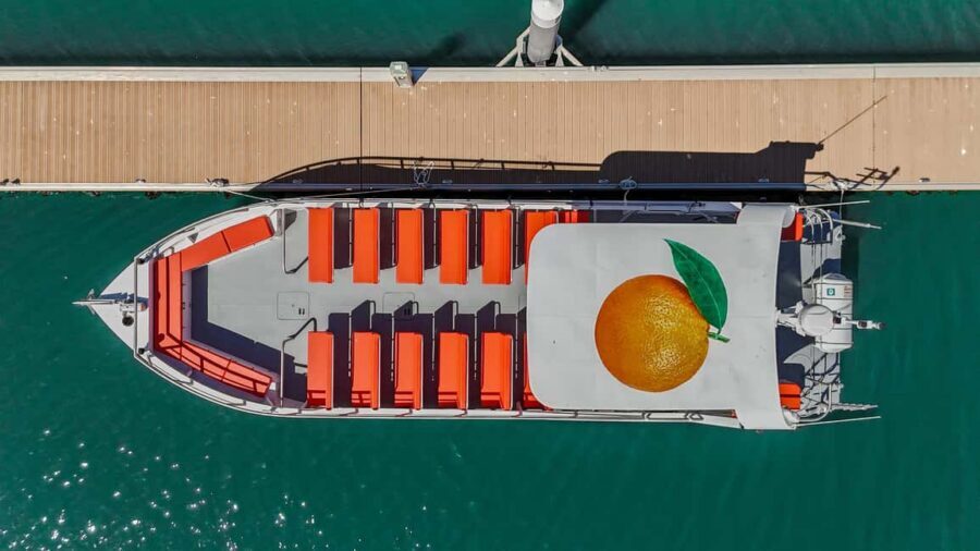 FROM LAGOS: BENAGIL AND DOLPHIN WATCHING - JETBOAT - From Marina de Lagos to Open Sea: How the Ride Starts