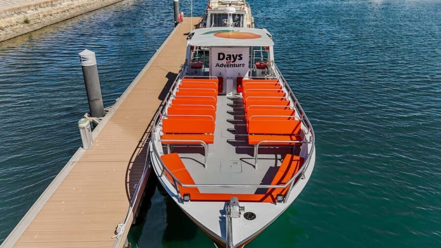 FROM LAGOS: BENAGIL AND DOLPHIN WATCHING - JETBOAT - Price and Value: Is $47 a Smart Buy in Algarve Terms?