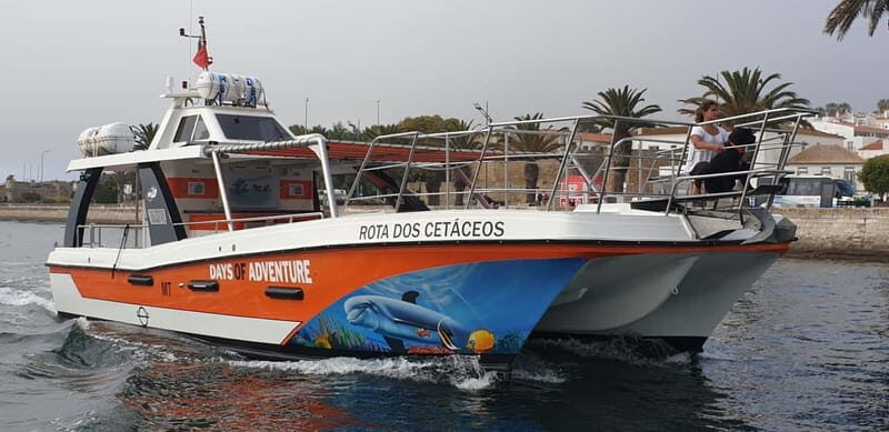 From Lagos: Benagil Caves Catamaran Cruise - The Catamaran Experience: Roof, Space to Move, and Bathroom Access