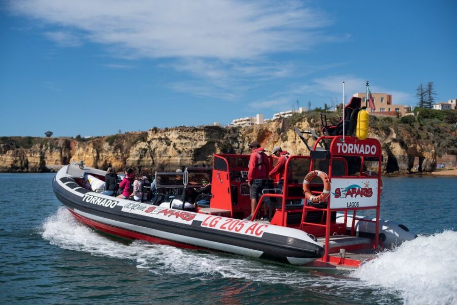 From Lagos: Benagil Sea Caves Tour with a Local Guide - Where to Meet at Dolphin Seafaris in Lagos
