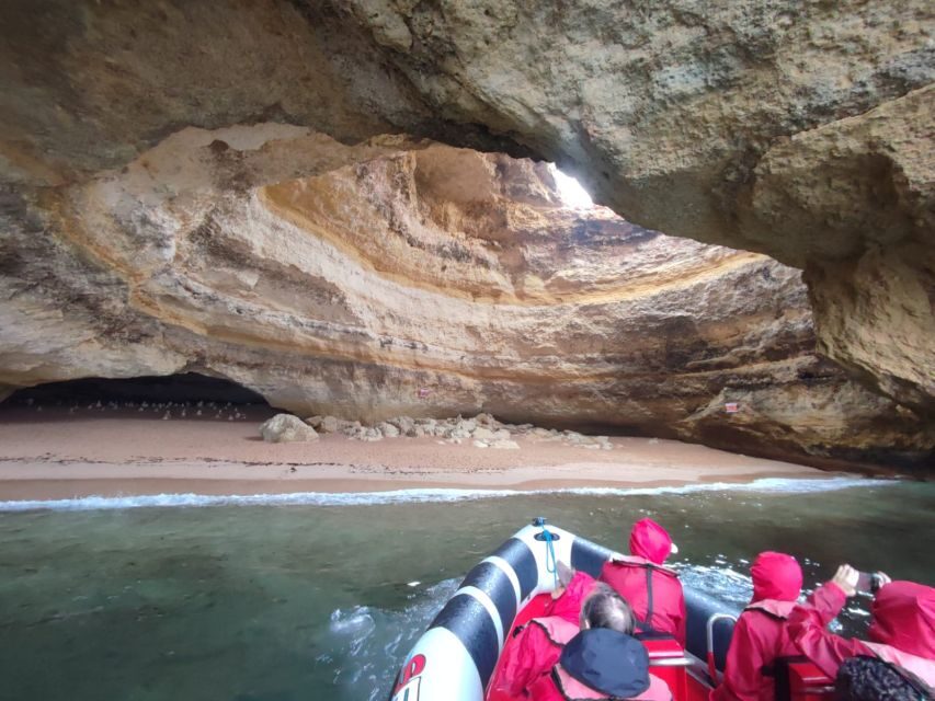 From Lagos: Benagil Sea Caves Tour with a Local Guide - Benagil Sea Cave Viewing: What You Can See (and What You Can’t)