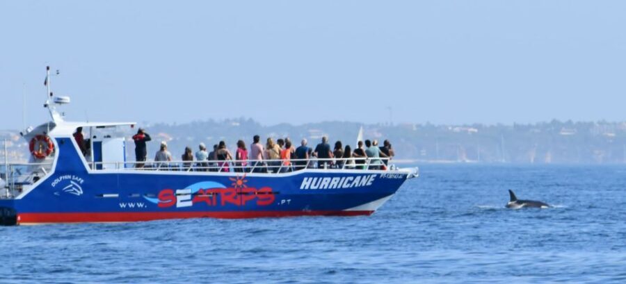 From Lagos: Benagil Sea Caves Tour with a Local Guide - Is $40 Worth It for a 2-Hour Benagil Speedboat Tour?