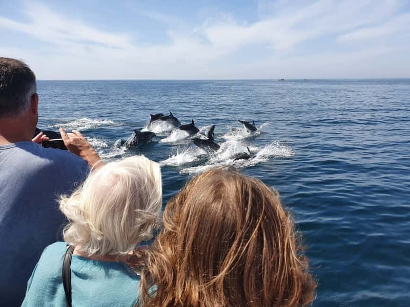 From Lagos: Dolphin Watching Catamaran Cruise - The swim stop near Benagil: when it happens and how to prep