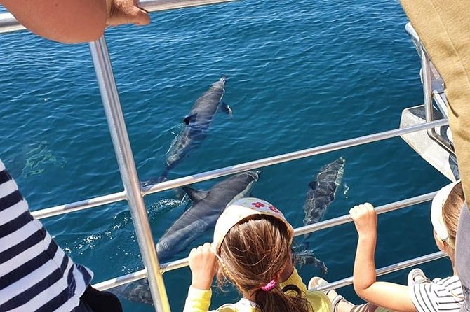 From Lagos: Dolphin Watching Cruise on a Catamaran - From Marina de Lagos: boarding like a pro