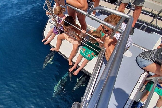 From Lagos: Dolphin Watching Cruise on a Catamaran - How long is long enough for dolphins on a 90-minute cruise?