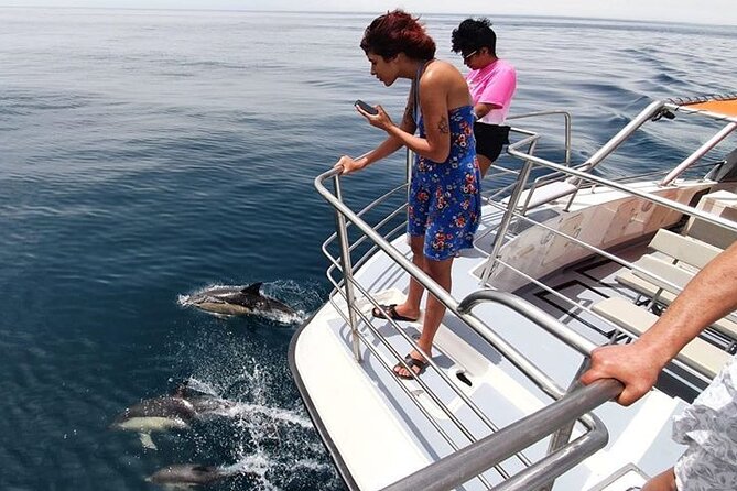 From Lagos: Dolphin Watching Cruise on a Catamaran - Sea conditions: what can change the vibe fast