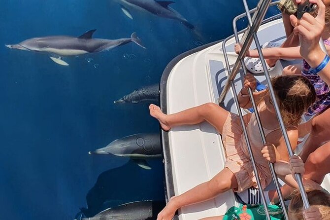 From Lagos: Dolphin Watching Cruise on a Catamaran - Price and value: what $48.39 really buys you