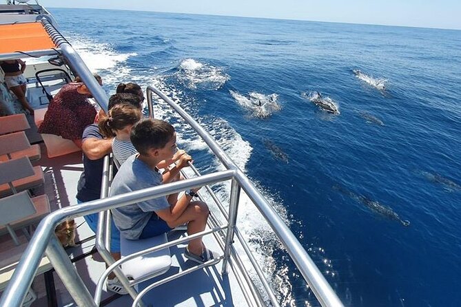 From Lagos: Dolphin Watching Cruise on a Catamaran - Who should book this cruise (and who might not love it)