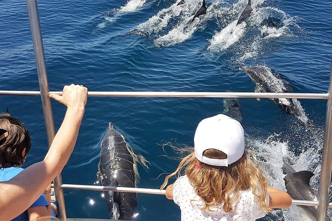 From Lagos: Dolphin Watching Cruise on a Catamaran - A catamaran built for seeing dolphins: comfort + views