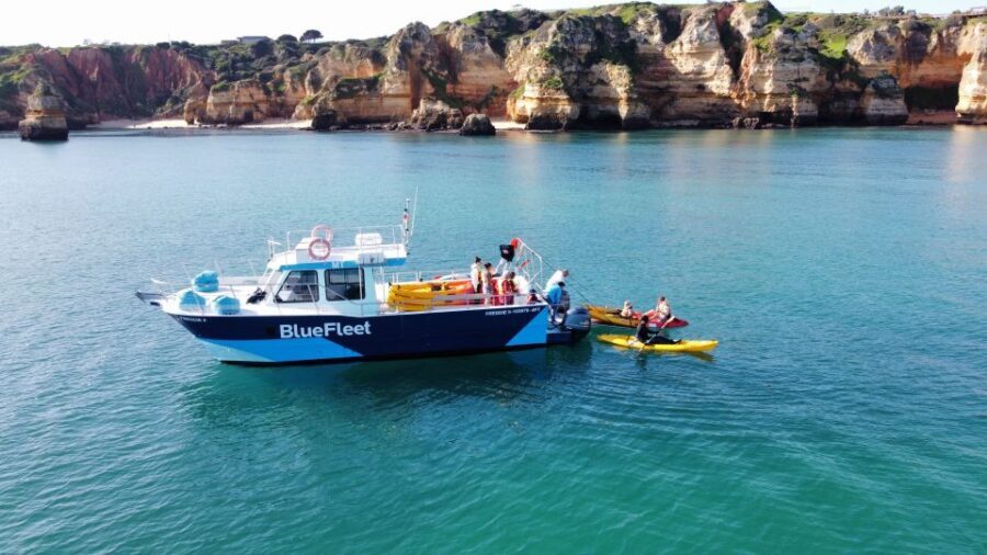 From Lagos: Kayak Experience in Ponta da Piedade - Who this kayak tour suits best (and who should skip it)