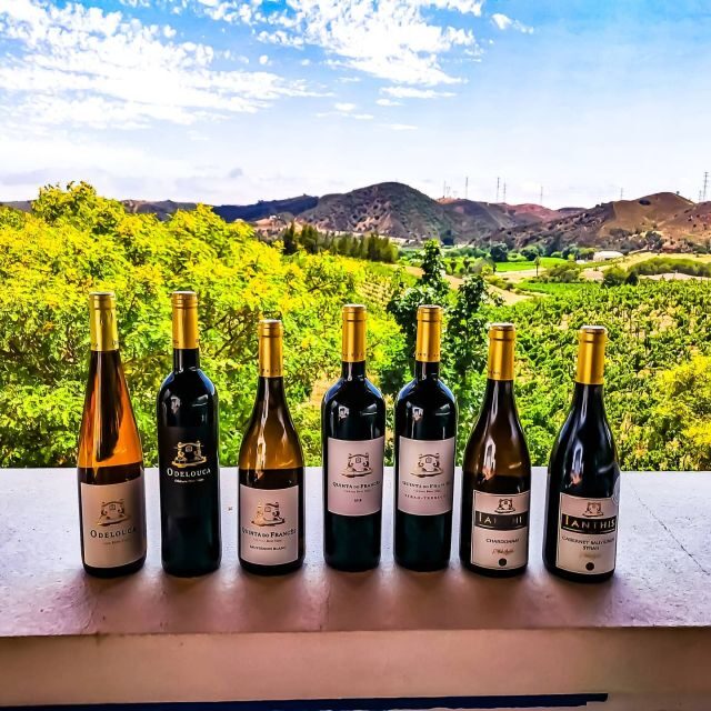 From Lagos: Small-Group 4-Hour Wine Tasting Tour - Getting picked up in Lagos and the ride that sets the mood