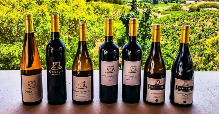 From Lagos: Small-Group 4-Hour Wine Tasting Tour - Inside the winery visit: tasting three Algarve wines the practical way