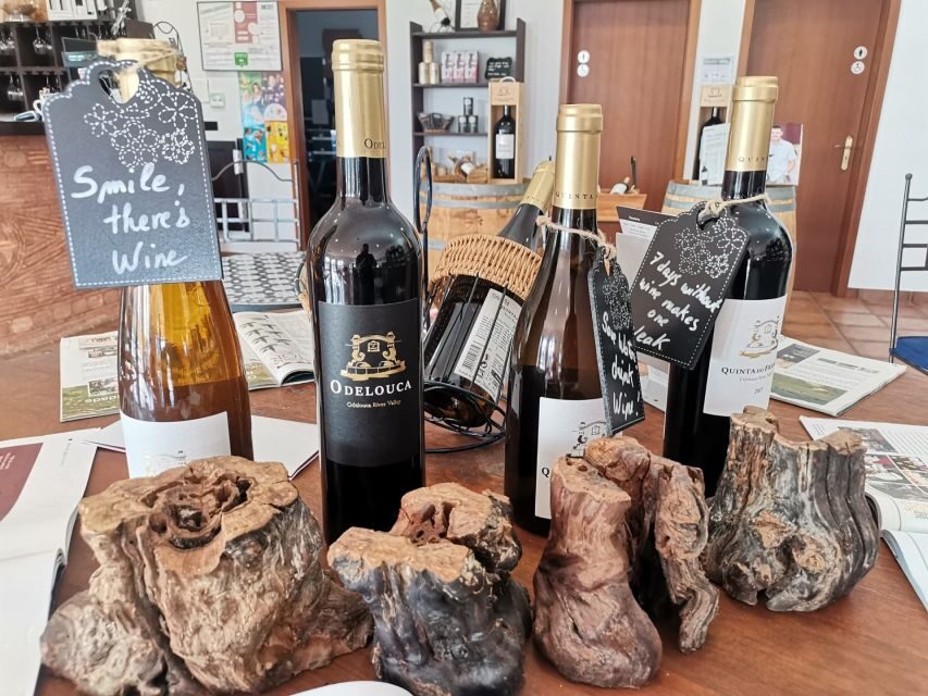 From Lagos: Small-Group 4-Hour Wine Tasting Tour - Countryside return to Lagos: oranges, cork trees, and old towns