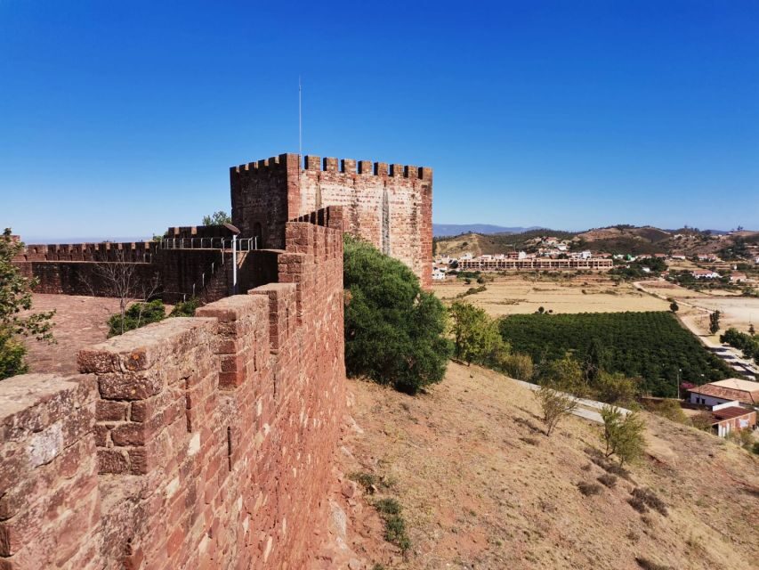 From Lagos: Small-Group 4-Hour Wine Tasting Tour - What to watch for on the day