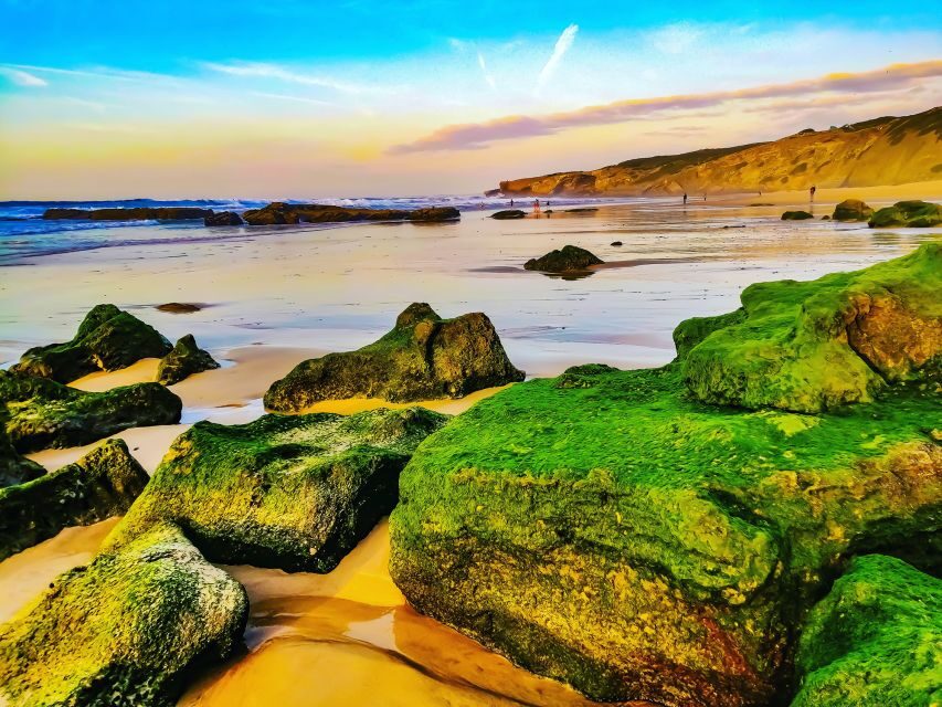 From Lagos: Wild and Wonderful West Coast Full-Day Tour - Cape St. Vincent: The End-of-the-World Feeling (Without the Overhype)